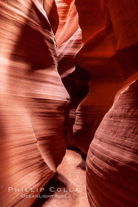 Antelope Canyon, a deep narrow slot canyon formed by water and wind erosion. Navajo Tribal Lands, Page, Arizona, USA, natural history stock photograph, photo id 18021