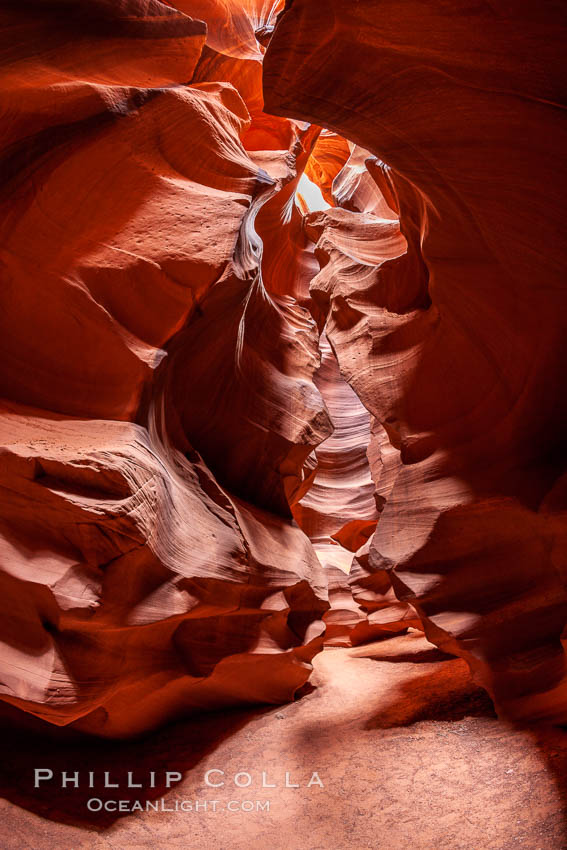 Antelope Canyon, a deep narrow slot canyon formed by water and wind erosion. Navajo Tribal Lands, Page, Arizona, USA, natural history stock photograph, photo id 18025