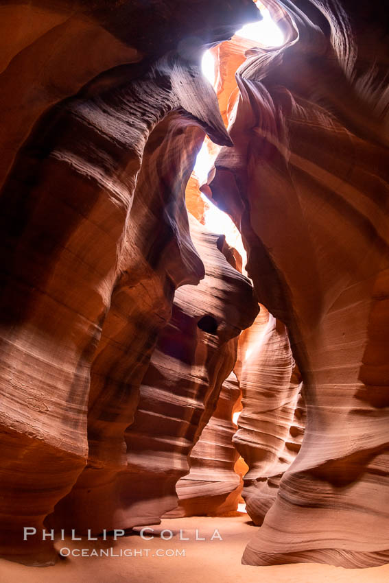 Upper Antelope Canyon, a spectacular slot canyon near Page, Arizona. Navajo Tribal Lands, USA, natural history stock photograph, photo id 36041