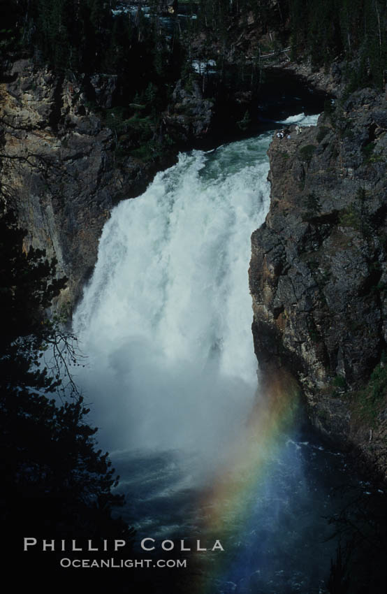 A rainbow forms in the spray from Upper Yellowstone Falls near the Grand Canyon of the Yellowstone. Yellowstone National Park, Wyoming, USA, natural history stock photograph, photo id 07373