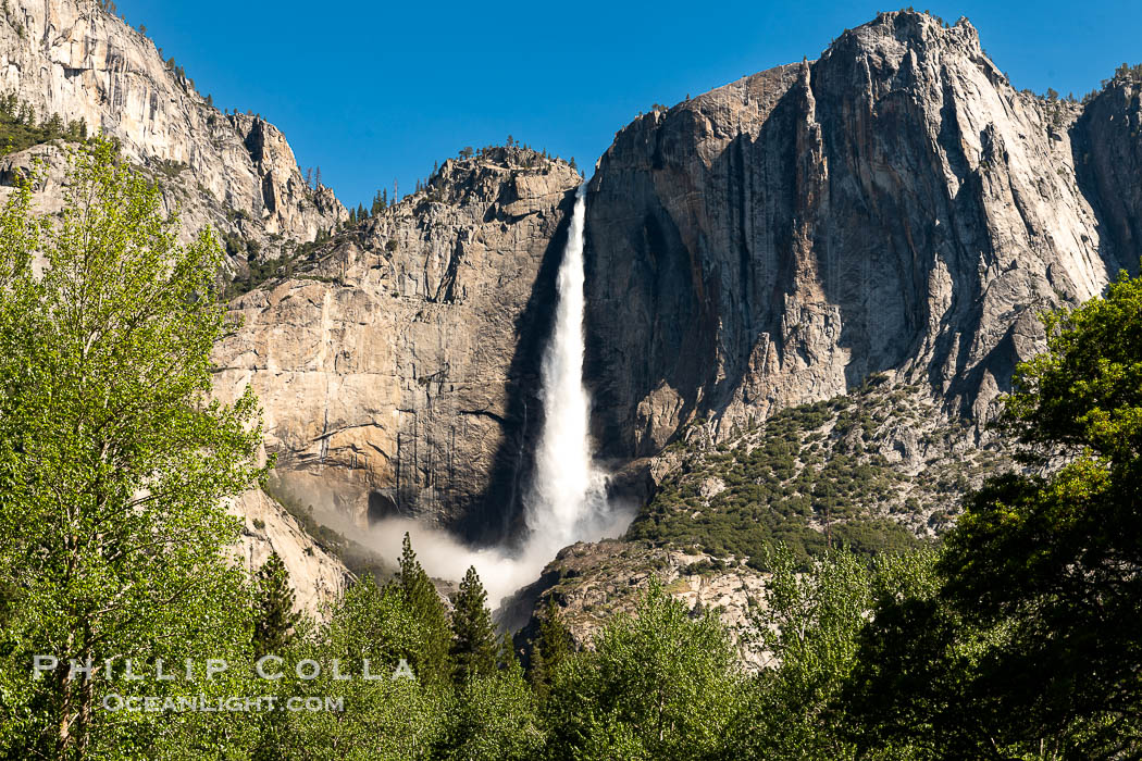 Upper Yosemite Falls Roaring in May as Historic Snowmelt Floods Yosemite Valley, May 2023. Yosemite National Park, California, USA, natural history stock photograph, photo id 39379