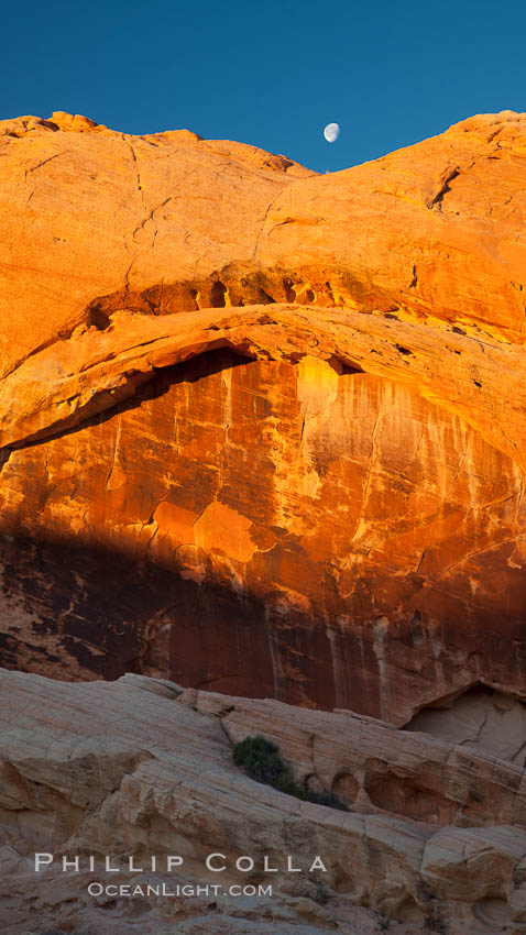 Setting moon over natural sandstone arch, sunrise. Valley of Fire State Park, Nevada, USA, natural history stock photograph, photo id 26506