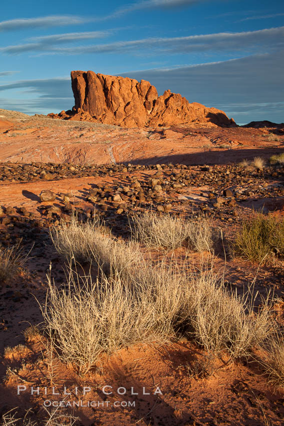 Sandstone striations and butte, dawn. Valley of Fire State Park, Nevada, USA, natural history stock photograph, photo id 26504