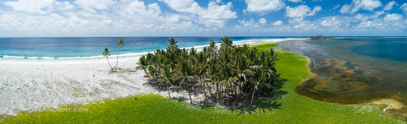 Vegetation and coconut palms at Clipperton Island, aerial photo. Clipperton Island is a spectacular coral atoll in the eastern Pacific. By permit HC / 1485 / CAB (France)., natural history stock photograph, photo id 32868