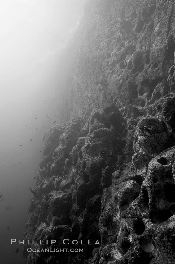 Vertical volcanic wall. Gordon Rocks, Galapagos Islands, Ecuador, natural history stock photograph, photo id 16452