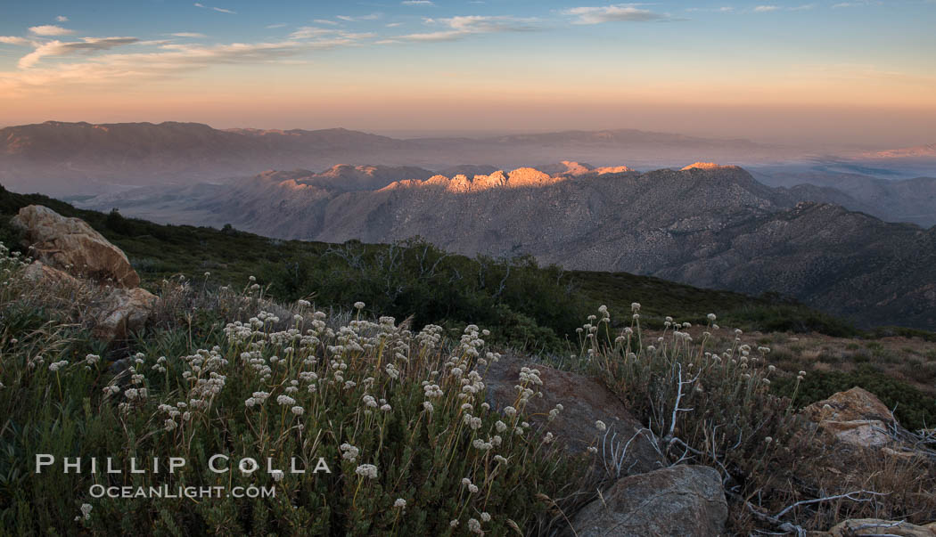 View from Summit of Mount Laguna looking northeast., natural history stock photograph, photo id 31040