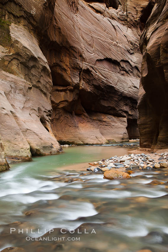 The Virgin River flows through the Zion Narrows, with tall sandstone walls towering hundreds of feet above. Virgin River Narrows, Zion National Park, Utah, USA, natural history stock photograph, photo id 26123