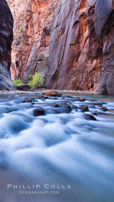 Virgin River Narrows. Zion National Park, Utah, USA, natural history stock photograph, photo id 26398