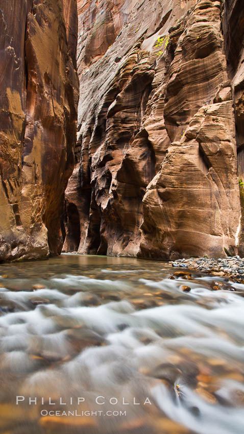 Virgin River Narrows. Zion National Park, Utah, USA, natural history stock photograph, photo id 26400