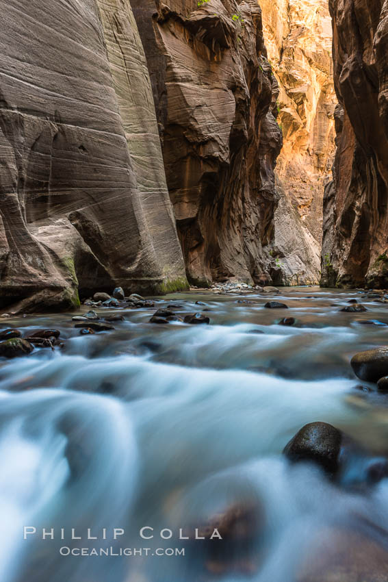 The Virgin River Narrows, where the Virgin River has carved deep, narrow canyons through the Zion National Park sandstone, creating one of the finest hikes in the world. Utah, USA, natural history stock photograph, photo id 28581