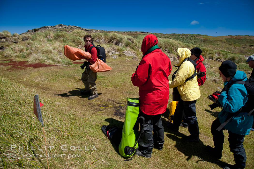 Visitors walk across Carcass Island, named for the HMS Carcass which surveyed the island in 1766. Falkland Islands, United Kingdom, natural history stock photograph, photo id 24069