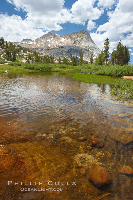 Vogelsang Peak (11516') at sunset, reflected in a small creek near Vogelsang High Sierra Camp in Yosemite's high country. Yosemite National Park, California, USA, natural history stock photograph, photo id 23251