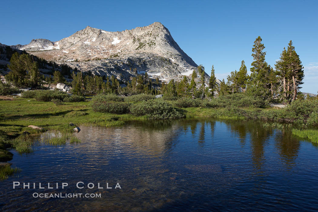 Vogelsang Peak (11516') in Yosemite's High Sierra, reflected in small pond, morning, summer. Yosemite National Park, California, USA, natural history stock photograph, photo id 23221