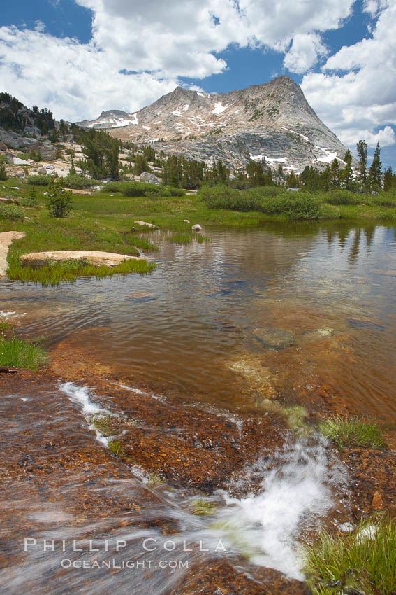 Vogelsang Peak (11516') in Yosemite's High Sierra, reflected in small creek, morning, summer. Yosemite National Park, California, USA, natural history stock photograph, photo id 23229