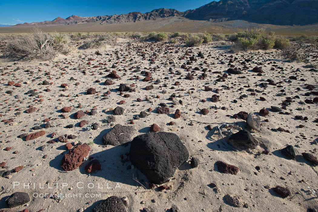 Volcanic debris, small lava rocks scattered about the Eureka Valley. Death Valley National Park, California, USA, natural history stock photograph, photo id 25340