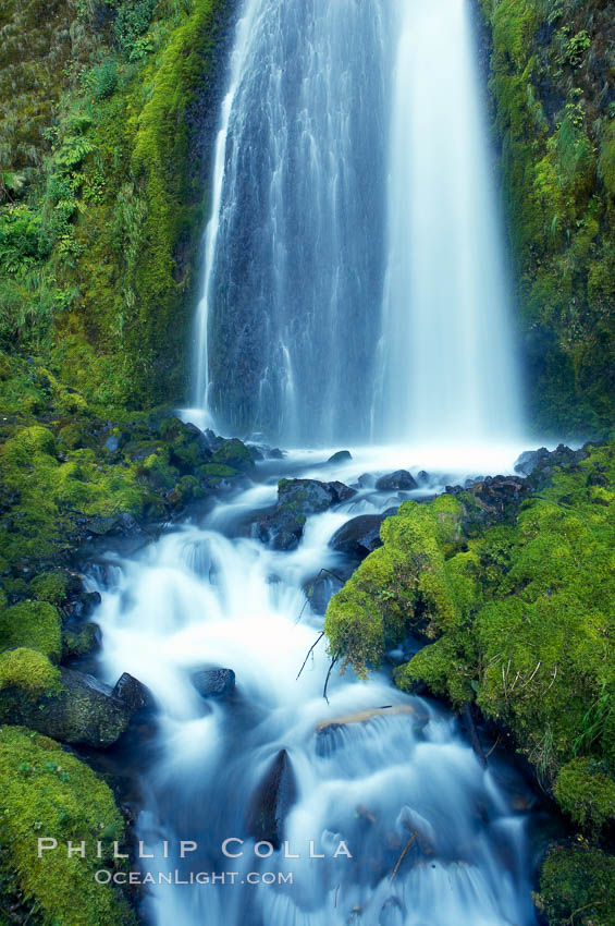 Wahkeena Falls drops 249 feet in several sections through a lush green temperate rainforest. Columbia River Gorge National Scenic Area, Oregon, USA, natural history stock photograph, photo id 19324