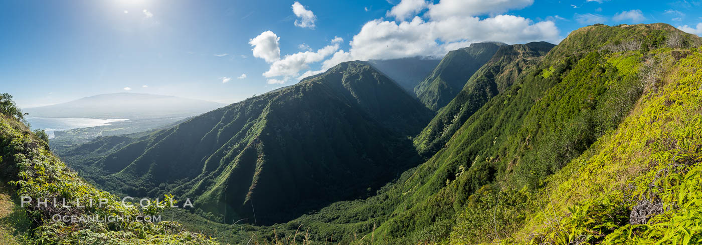 Waihee Canyon from Waihee Ridge, Maui, Hawaii, Panoramic Photo. USA, natural history stock photograph, photo id 34523