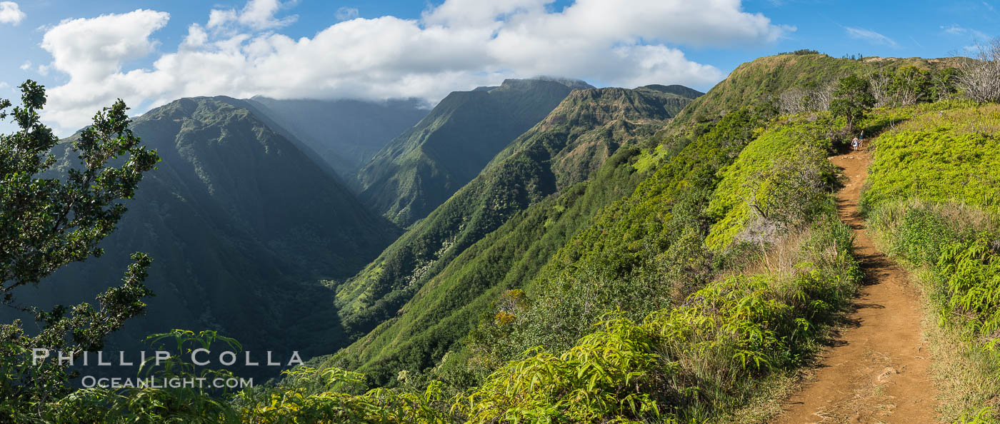 Waihee Ridge trail overlooking Waihee Canyon, Maui, Hawaii, Panoramic Photo. USA, natural history stock photograph, photo id 34524