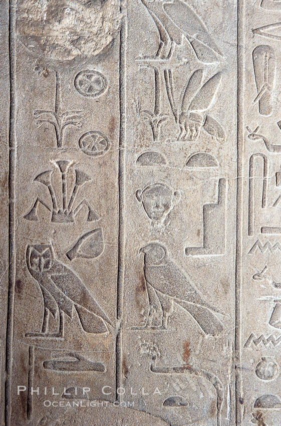 Wall detail with hieroglyphics, Luxor Temple. Egypt, natural history stock photograph, photo id 18479