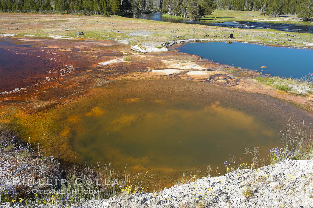Wall Pool. Biscuit Basin, Yellowstone National Park, Wyoming, USA, natural history stock photograph, photo id 13494
