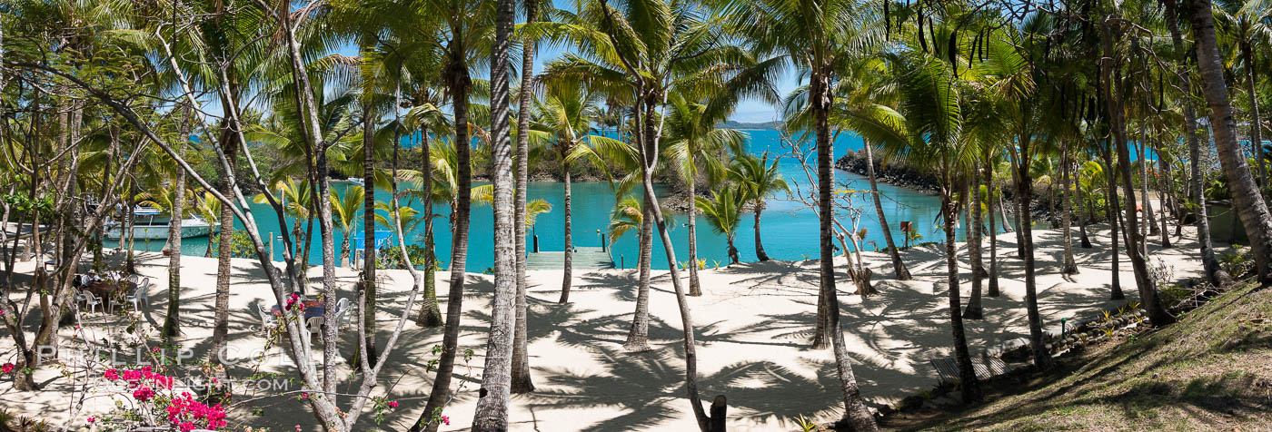 Wananavu Beach Resort, Viti Levu Island, Fiji. Raki Raki, Viti Levu  Island, natural history stock photograph, photo id 31862