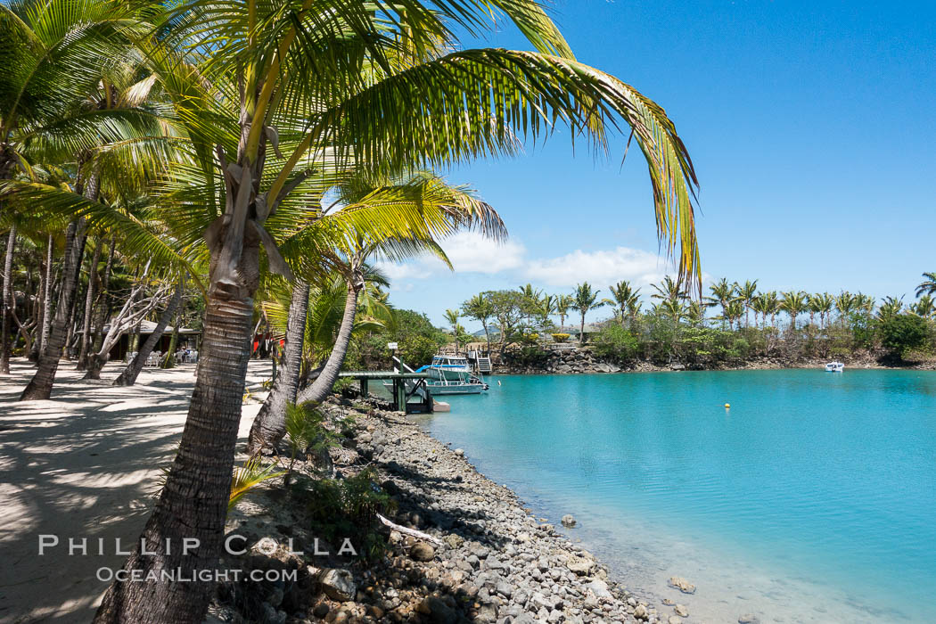 Wananavu Beach Resort, Viti Levu Island, Fiji. Raki Raki, Viti Levu  Island, natural history stock photograph, photo id 31864