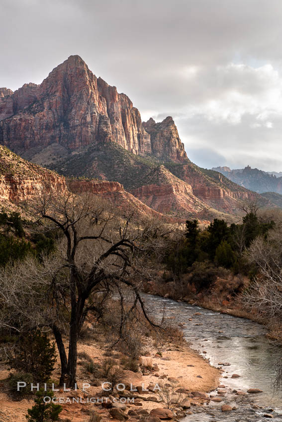 The Watchman and Virgin River at sunset with cleaing stormclouds. Zion National Park, Utah, USA, natural history stock photograph, photo id 36049