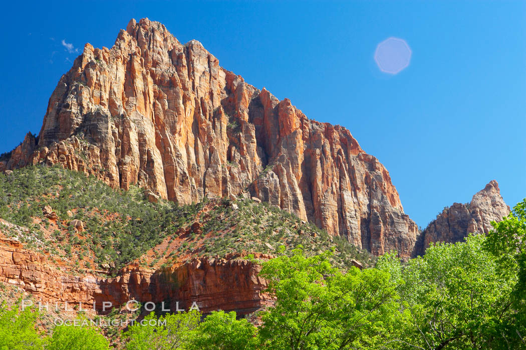 The Watchman, a red Navaho sandstone peak in Zion National Park. Utah, USA, natural history stock photograph, photo id 12490