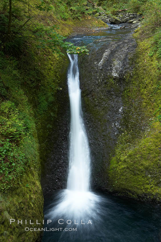  Columbia River Gorge National Scenic Area, Oregon, USA, natural history stock photograph, photo id 19321