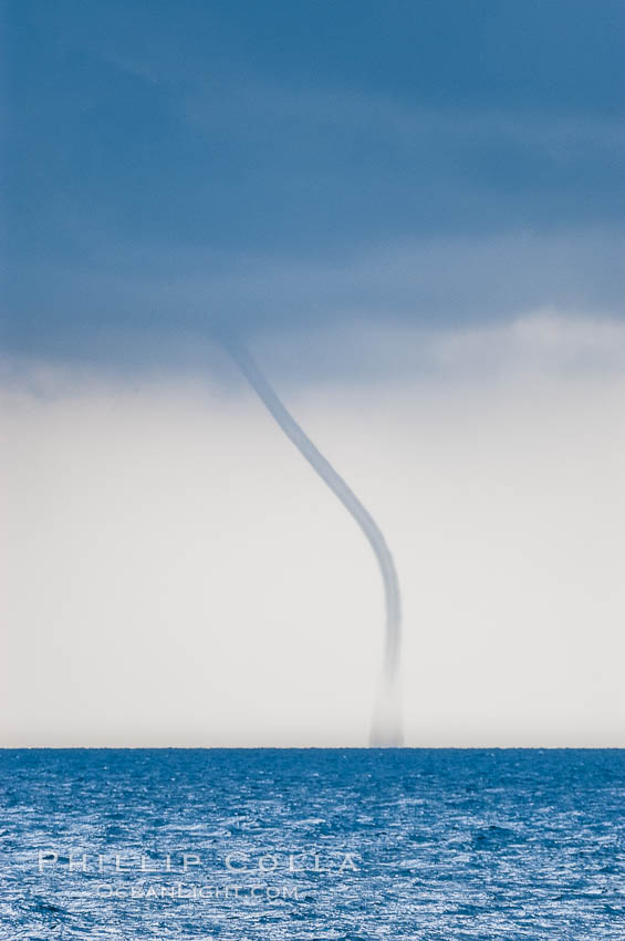 The early stage of a waterspout, in which a funnel descends from clouds down toward the ocean surface.  Note the thin curved vortex of the waterspout, it is not yet mature.  Waterspouts are tornados that form over water. Bahamas, natural history stock photograph, photo id 10855