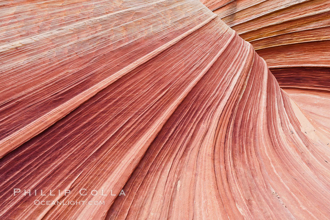 The Wave, an area of fantastic eroded sandstone featuring beautiful swirls, wild colors, countless striations, and bizarre shapes set amidst the dramatic surrounding North Coyote Buttes of Arizona and Utah.  The sandstone formations of the North Coyote Buttes, including the Wave, date from the Jurassic period. Managed by the Bureau of Land Management, the Wave is located in the Paria Canyon-Vermilion Cliffs Wilderness and is accessible on foot by permit only. USA, natural history stock photograph, photo id 20607