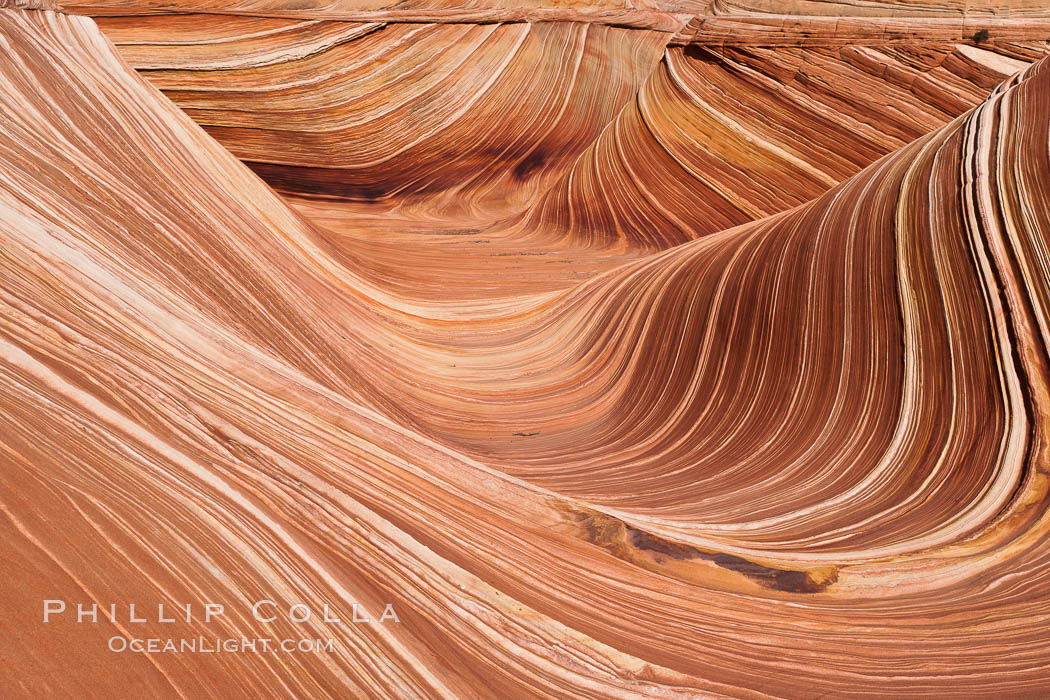 The Wave, an area of fantastic eroded sandstone featuring beautiful swirls, wild colors, countless striations, and bizarre shapes set amidst the dramatic surrounding North Coyote Buttes of Arizona and Utah.  The sandstone formations of the North Coyote Buttes, including the Wave, date from the Jurassic period. Managed by the Bureau of Land Management, the Wave is located in the Paria Canyon-Vermilion Cliffs Wilderness and is accessible on foot by permit only. USA, natural history stock photograph, photo id 20614