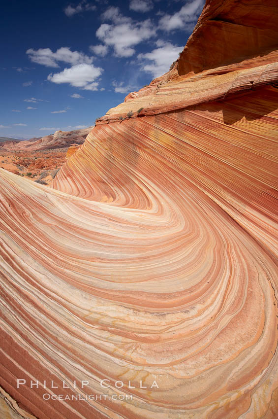 The Wave, an area of fantastic eroded sandstone featuring beautiful swirls, wild colors, countless striations, and bizarre shapes set amidst the dramatic surrounding North Coyote Buttes of Arizona and Utah.  The sandstone formations of the North Coyote Buttes, including the Wave, date from the Jurassic period. Managed by the Bureau of Land Management, the Wave is located in the Paria Canyon-Vermilion Cliffs Wilderness and is accessible on foot by permit only. USA, natural history stock photograph, photo id 20618