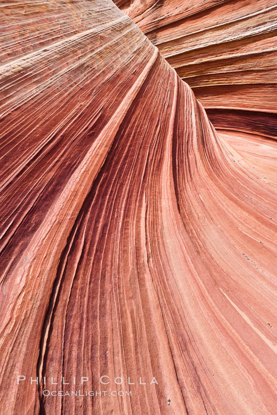 The Wave, an area of fantastic eroded sandstone featuring beautiful swirls, wild colors, countless striations, and bizarre shapes set amidst the dramatic surrounding North Coyote Buttes of Arizona and Utah.  The sandstone formations of the North Coyote Buttes, including the Wave, date from the Jurassic period. Managed by the Bureau of Land Management, the Wave is located in the Paria Canyon-Vermilion Cliffs Wilderness and is accessible on foot by permit only. USA, natural history stock photograph, photo id 20622