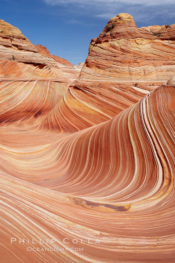 The Wave, an area of fantastic eroded sandstone featuring beautiful swirls, wild colors, countless striations, and bizarre shapes set amidst the dramatic surrounding North Coyote Buttes of Arizona and Utah.  The sandstone formations of the North Coyote Buttes, including the Wave, date from the Jurassic period. Managed by the Bureau of Land Management, the Wave is located in the Paria Canyon-Vermilion Cliffs Wilderness and is accessible on foot by permit only. USA, natural history stock photograph, photo id 20626