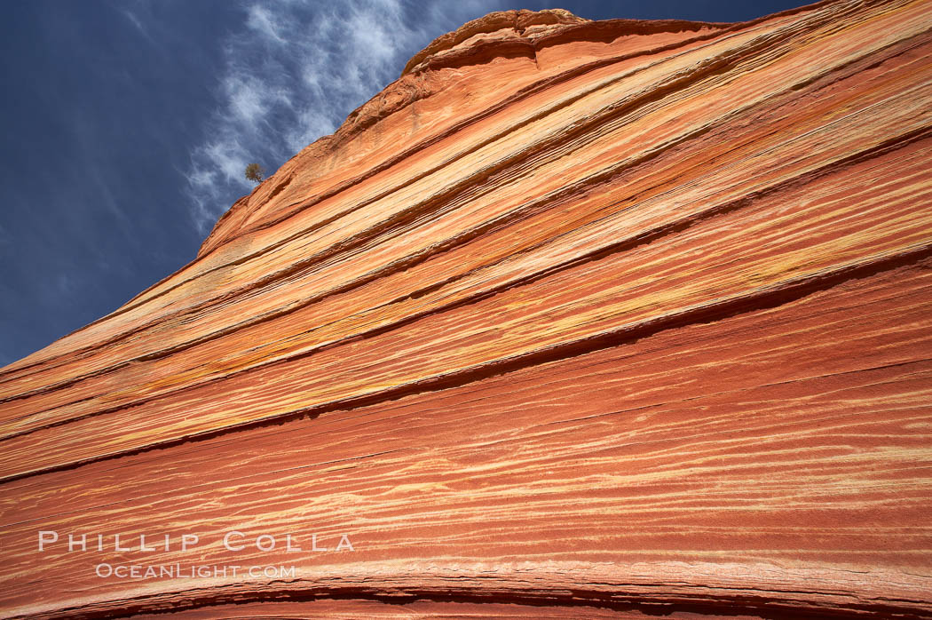 The Wave, an area of fantastic eroded sandstone featuring beautiful swirls, wild colors, countless striations, and bizarre shapes set amidst the dramatic surrounding North Coyote Buttes of Arizona and Utah.  The sandstone formations of the North Coyote Buttes, including the Wave, date from the Jurassic period. Managed by the Bureau of Land Management, the Wave is located in the Paria Canyon-Vermilion Cliffs Wilderness and is accessible on foot by permit only. USA, natural history stock photograph, photo id 20630