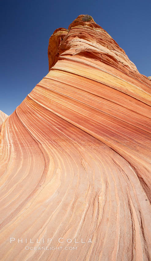 The Wave, an area of fantastic eroded sandstone featuring beautiful swirls, wild colors, countless striations, and bizarre shapes set amidst the dramatic surrounding North Coyote Buttes of Arizona and Utah.  The sandstone formations of the North Coyote Buttes, including the Wave, date from the Jurassic period. Managed by the Bureau of Land Management, the Wave is located in the Paria Canyon-Vermilion Cliffs Wilderness and is accessible on foot by permit only. USA, natural history stock photograph, photo id 20642