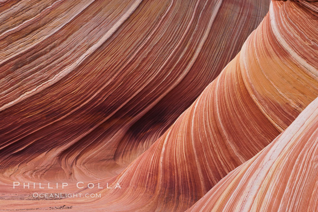 The Wave, an area of fantastic eroded sandstone featuring beautiful swirls, wild colors, countless striations, and bizarre shapes set amidst the dramatic surrounding North Coyote Buttes of Arizona and Utah.  The sandstone formations of the North Coyote Buttes, including the Wave, date from the Jurassic period. Managed by the Bureau of Land Management, the Wave is located in the Paria Canyon-Vermilion Cliffs Wilderness and is accessible on foot by permit only. USA, natural history stock photograph, photo id 20646