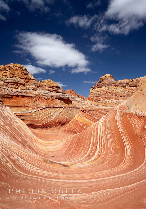 The Wave, an area of fantastic eroded sandstone featuring beautiful swirls, wild colors, countless striations, and bizarre shapes set amidst the dramatic surrounding North Coyote Buttes of Arizona and Utah.  The sandstone formations of the North Coyote Buttes, including the Wave, date from the Jurassic period. Managed by the Bureau of Land Management, the Wave is located in the Paria Canyon-Vermilion Cliffs Wilderness and is accessible on foot by permit only. USA, natural history stock photograph, photo id 20616