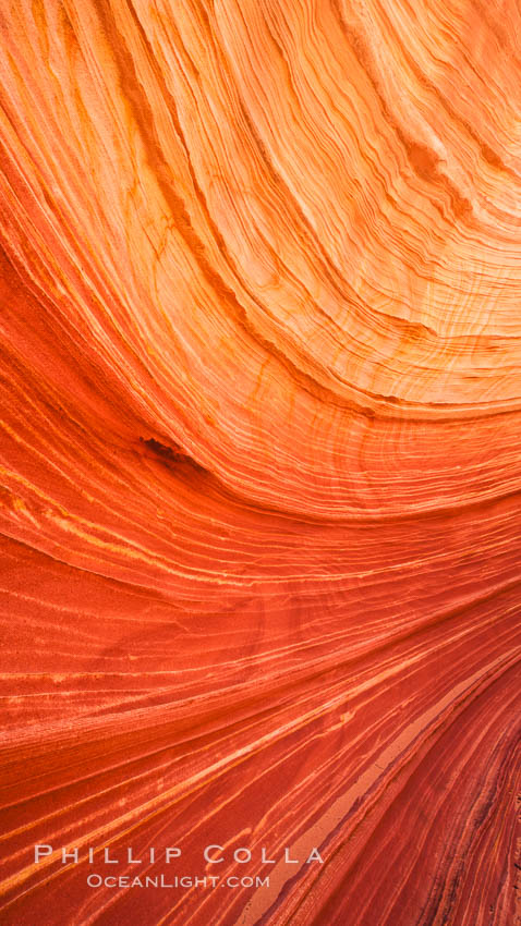 The Wave, an area of fantastic eroded sandstone featuring beautiful swirls, wild colors, countless striations, and bizarre shapes set amidst the dramatic surrounding North Coyote Buttes of Arizona and Utah.  The sandstone formations of the North Coyote Buttes, including the Wave, date from the Jurassic period. Managed by the Bureau of Land Management, the Wave is located in the Paria Canyon-Vermilion Cliffs Wilderness and is accessible on foot by permit only. USA, natural history stock photograph, photo id 20620