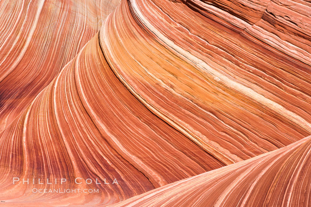 The Wave, an area of fantastic eroded sandstone featuring beautiful swirls, wild colors, countless striations, and bizarre shapes set amidst the dramatic surrounding North Coyote Buttes of Arizona and Utah.  The sandstone formations of the North Coyote Buttes, including the Wave, date from the Jurassic period. Managed by the Bureau of Land Management, the Wave is located in the Paria Canyon-Vermilion Cliffs Wilderness and is accessible on foot by permit only. USA, natural history stock photograph, photo id 20628