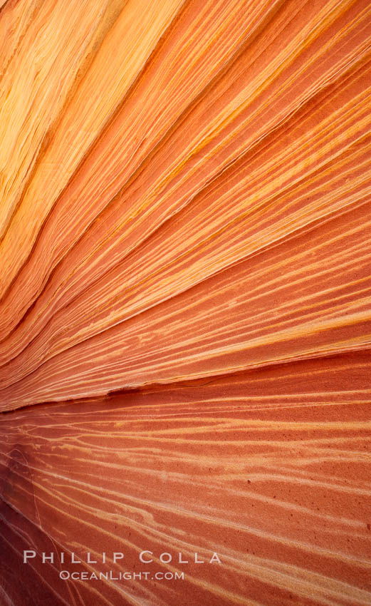 The Wave, an area of fantastic eroded sandstone featuring beautiful swirls, wild colors, countless striations, and bizarre shapes set amidst the dramatic surrounding North Coyote Buttes of Arizona and Utah.  The sandstone formations of the North Coyote Buttes, including the Wave, date from the Jurassic period. Managed by the Bureau of Land Management, the Wave is located in the Paria Canyon-Vermilion Cliffs Wilderness and is accessible on foot by permit only. USA, natural history stock photograph, photo id 20632