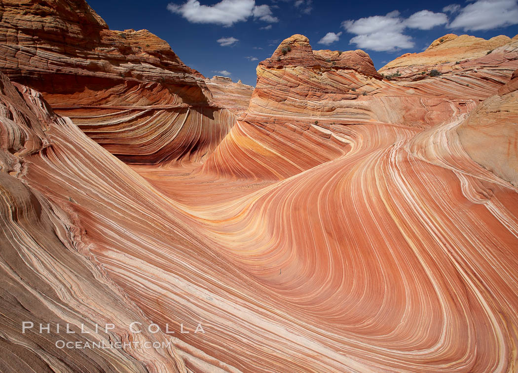 The Wave, an area of fantastic eroded sandstone featuring beautiful swirls, wild colors, countless striations, and bizarre shapes set amidst the dramatic surrounding North Coyote Buttes of Arizona and Utah.  The sandstone formations of the North Coyote Buttes, including the Wave, date from the Jurassic period. Managed by the Bureau of Land Management, the Wave is located in the Paria Canyon-Vermilion Cliffs Wilderness and is accessible on foot by permit only. USA, natural history stock photograph, photo id 20643