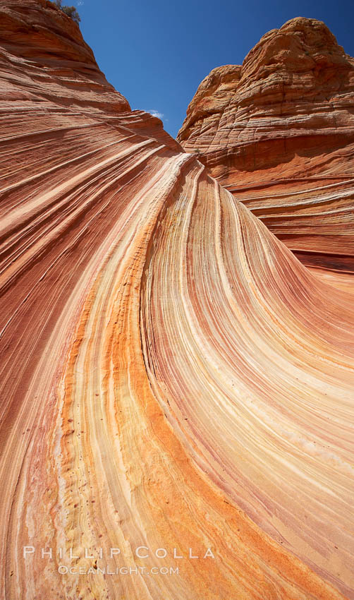 The Wave, an area of fantastic eroded sandstone featuring beautiful swirls, wild colors, countless striations, and bizarre shapes set amidst the dramatic surrounding North Coyote Buttes of Arizona and Utah.  The sandstone formations of the North Coyote Buttes, including the Wave, date from the Jurassic period. Managed by the Bureau of Land Management, the Wave is located in the Paria Canyon-Vermilion Cliffs Wilderness and is accessible on foot by permit only. USA, natural history stock photograph, photo id 20637