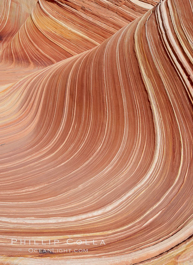 The Wave, an area of fantastic eroded sandstone featuring beautiful swirls, wild colors, countless striations, and bizarre shapes set amidst the dramatic surrounding North Coyote Buttes of Arizona and Utah.  The sandstone formations of the North Coyote Buttes, including the Wave, date from the Jurassic period. Managed by the Bureau of Land Management, the Wave is located in the Paria Canyon-Vermilion Cliffs Wilderness and is accessible on foot by permit only. USA, natural history stock photograph, photo id 20641