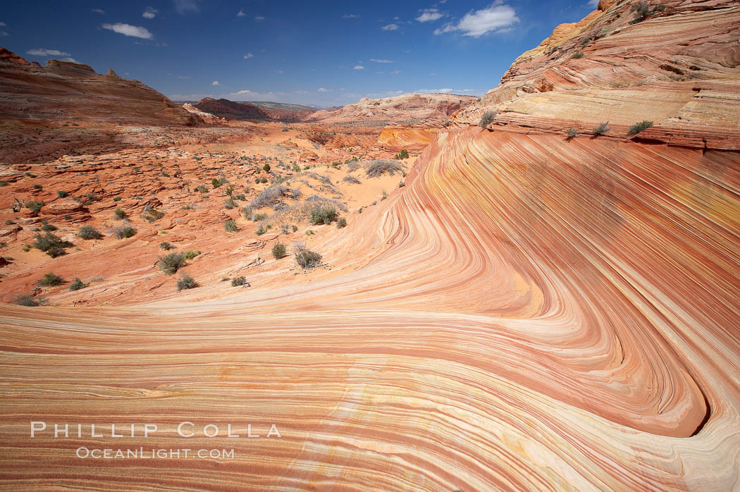 The Wave, an area of fantastic eroded sandstone featuring beautiful swirls, wild colors, countless striations, and bizarre shapes set amidst the dramatic surrounding North Coyote Buttes of Arizona and Utah.  The sandstone formations of the North Coyote Buttes, including the Wave, date from the Jurassic period. Managed by the Bureau of Land Management, the Wave is located in the Paria Canyon-Vermilion Cliffs Wilderness and is accessible on foot by permit only. USA, natural history stock photograph, photo id 20645