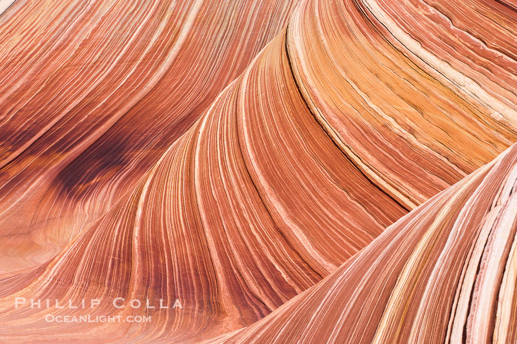 The Wave, an area of fantastic eroded sandstone featuring beautiful swirls, wild colors, countless striations, and bizarre shapes set amidst the dramatic surrounding North Coyote Buttes of Arizona and Utah.  The sandstone formations of the North Coyote Buttes, including the Wave, date from the Jurassic period. Managed by the Bureau of Land Management, the Wave is located in the Paria Canyon-Vermilion Cliffs Wilderness and is accessible on foot by permit only., natural history stock photograph, photo id 20649