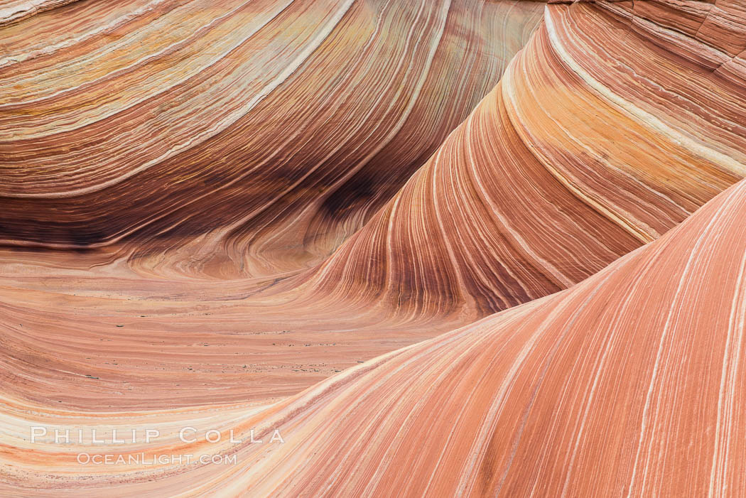The Wave in the North Coyote Buttes, an area of fantastic eroded sandstone featuring beautiful swirls, wild colors, countless striations, and bizarre shapes set amidst the dramatic surrounding North Coyote Buttes of Arizona and Utah. The sandstone formations of the North Coyote Buttes, including the Wave, date from the Jurassic period. Managed by the Bureau of Land Management, the Wave is located in the Paria Canyon-Vermilion Cliffs Wilderness and is accessible on foot by permit only. USA, natural history stock photograph, photo id 28610