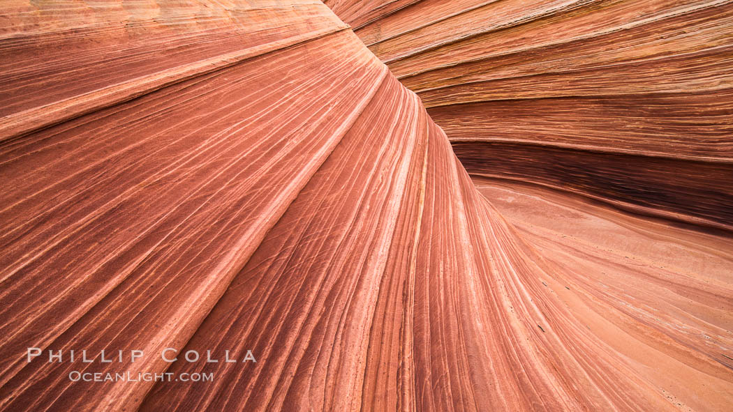 The Wave in the North Coyote Buttes, an area of fantastic eroded sandstone featuring beautiful swirls, wild colors, countless striations, and bizarre shapes set amidst the dramatic surrounding North Coyote Buttes of Arizona and Utah. The sandstone formations of the North Coyote Buttes, including the Wave, date from the Jurassic period. Managed by the Bureau of Land Management, the Wave is located in the Paria Canyon-Vermilion Cliffs Wilderness and is accessible on foot by permit only. USA, natural history stock photograph, photo id 28608