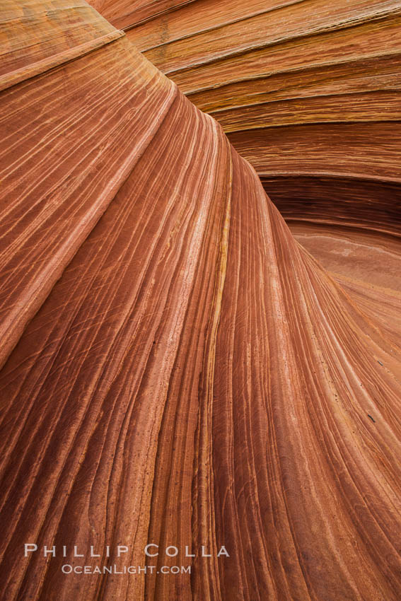 The Wave in the North Coyote Buttes, an area of fantastic eroded sandstone featuring beautiful swirls, wild colors, countless striations, and bizarre shapes set amidst the dramatic surrounding North Coyote Buttes of Arizona and Utah. The sandstone formations of the North Coyote Buttes, including the Wave, date from the Jurassic period. Managed by the Bureau of Land Management, the Wave is located in the Paria Canyon-Vermilion Cliffs Wilderness and is accessible on foot by permit only. USA, natural history stock photograph, photo id 28612